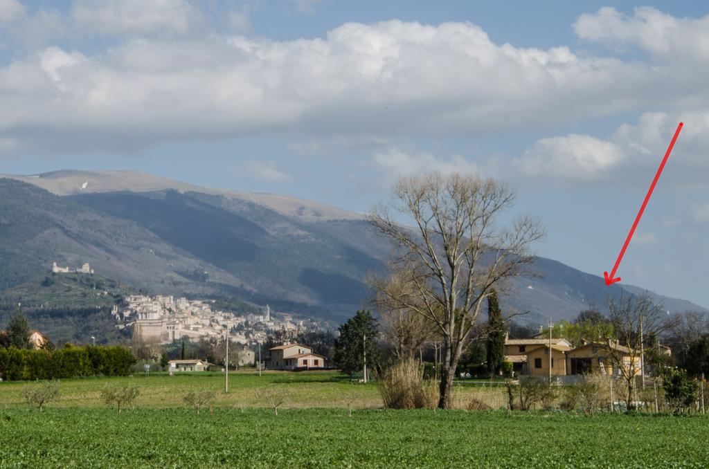 Le Case Dell'Olmo Assisi Exterior foto